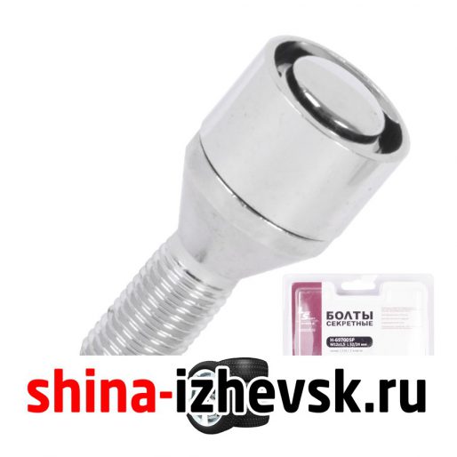 Болт секретный LS 12х1,5х24 блистер 4+2 17 хром конус H-69700SP в Ижевске